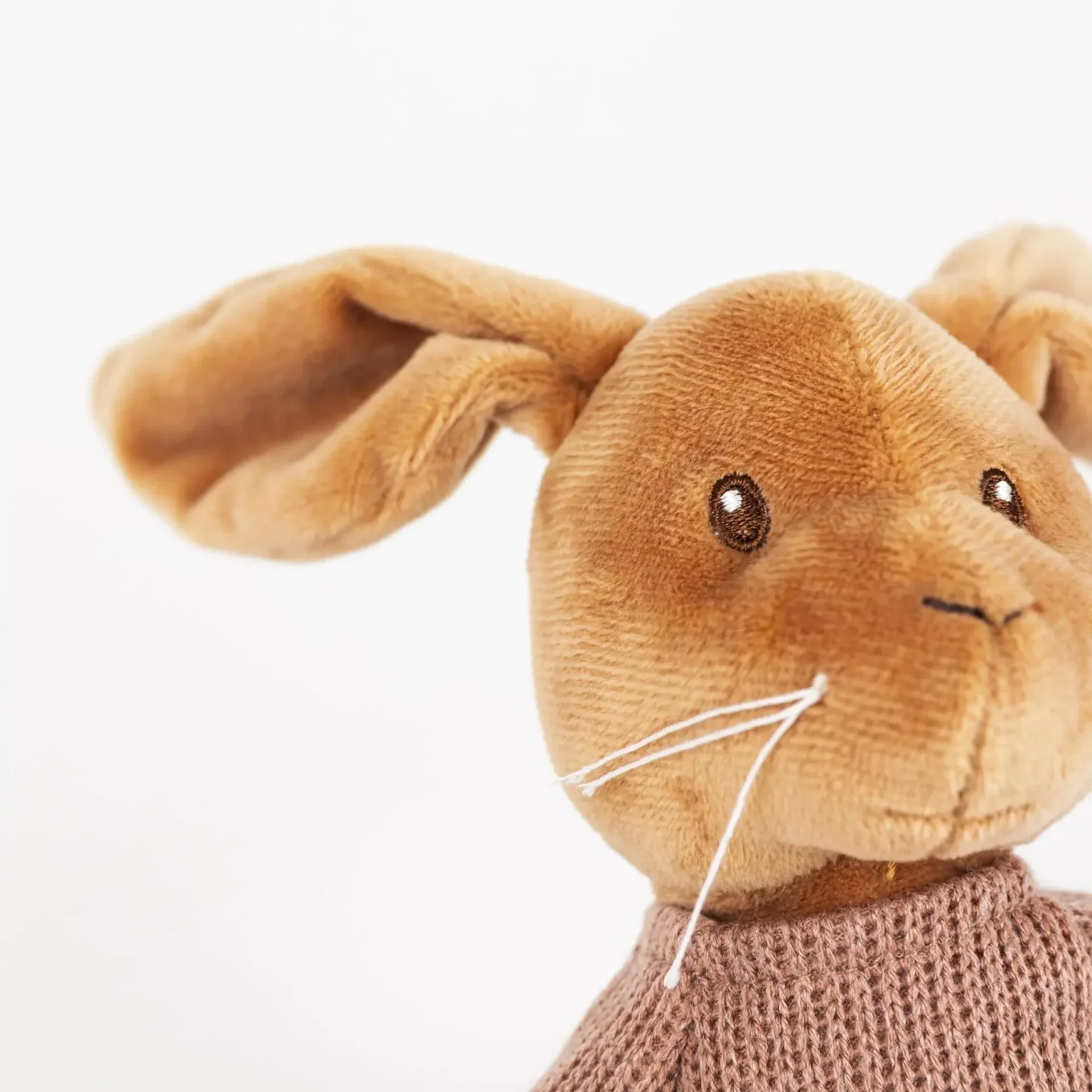Lenny le lapin musical – Image 5