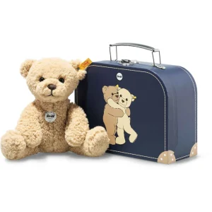 Ben l'Ours Teddy dans sa valise