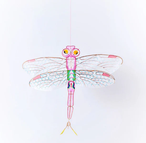 Cerf-volant libellule traditionnel en bambou et soie