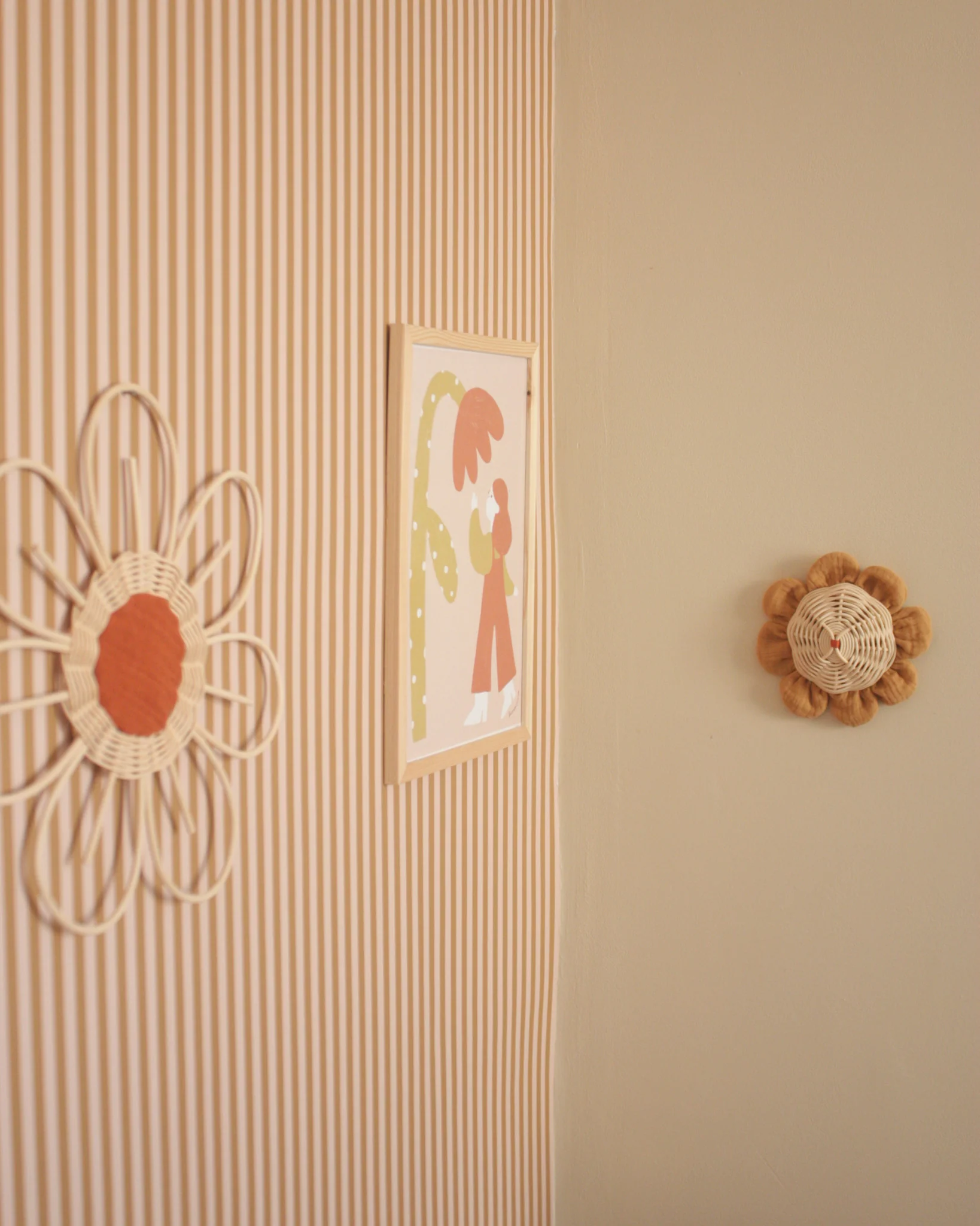 Grande fleur Anémone – Image 5