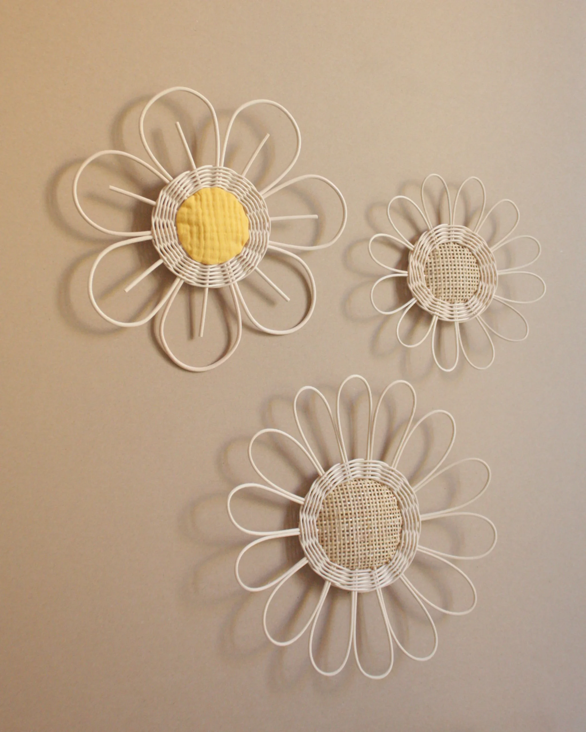 Grande fleur Anémone – Image 6