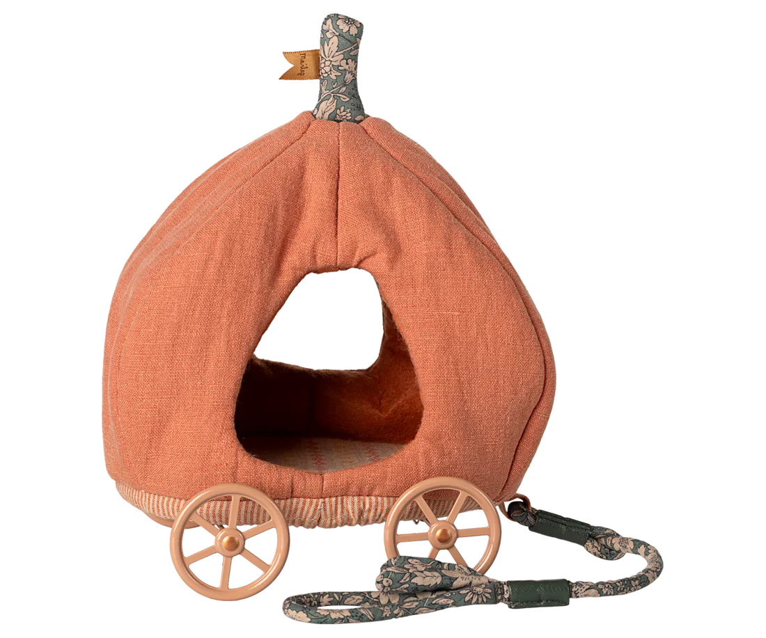 Carrosse citrouille