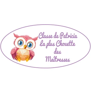 Plaque de porte de classe personnalisée La plus chouette des maîtresses