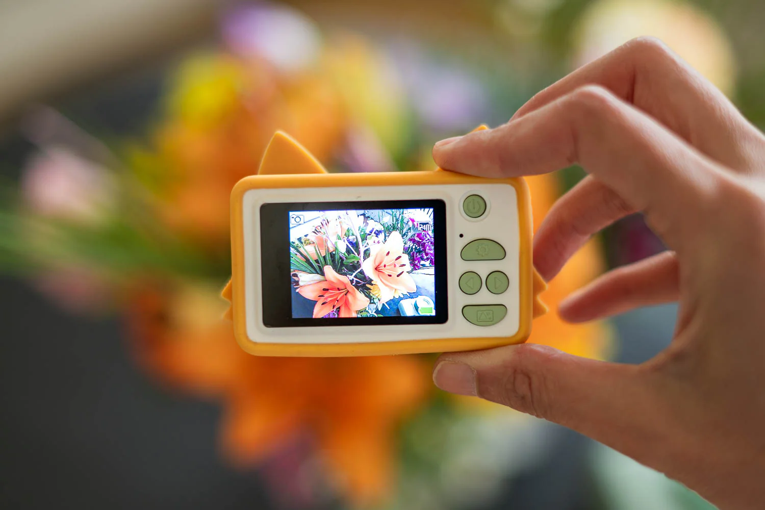 Appareil photo the zoo family - Renard – Image 3