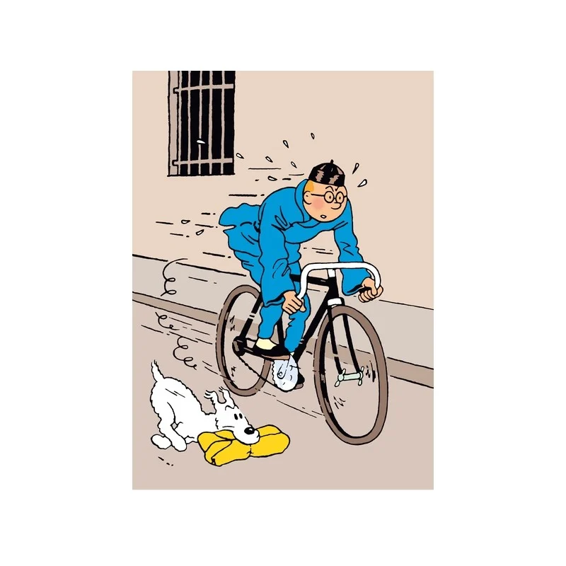 Chemise plastique A4 Tintin - Les Aventures de Tintin – Image 4