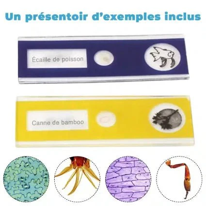 Microscope de Poche - MICROPTIK – Image 4