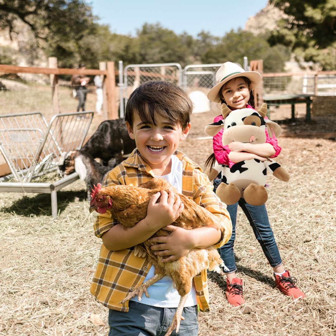 Peluche Vache: Le début d'une longue amitié🐮🐄 – Image 7