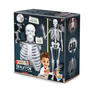 Squelette géant 85 cm